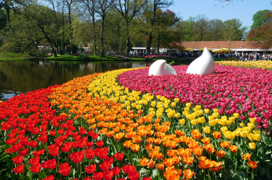 Картинка кекенкоф